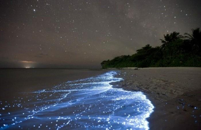 slika-voda-osvetljen-plankton-biva-maldivi-počitnice-na-maldivih-maldivi-otok