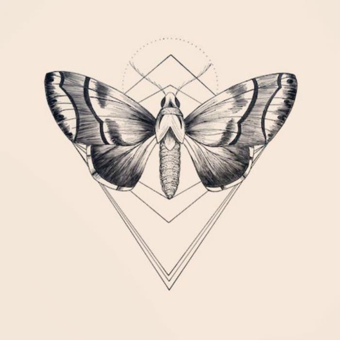 Açıklama beraberlik kelebek ile geometrik çizim fotoğrafı