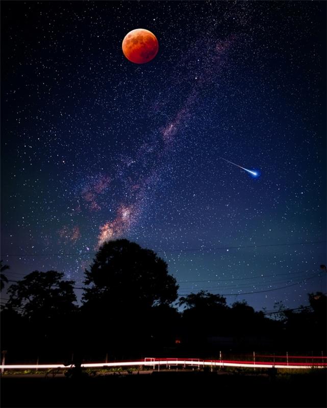 ekrano užsklanda, priverčianti svajoti apie išmanųjį telefoną, naktinio kraštovaizdžio nuotrauka su medžio siluetu ir pilnaties mėnulis
