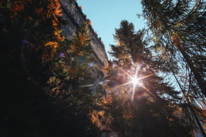 ozadje lepa pokrajina, gozd, pečina, jesen slike za ozadje