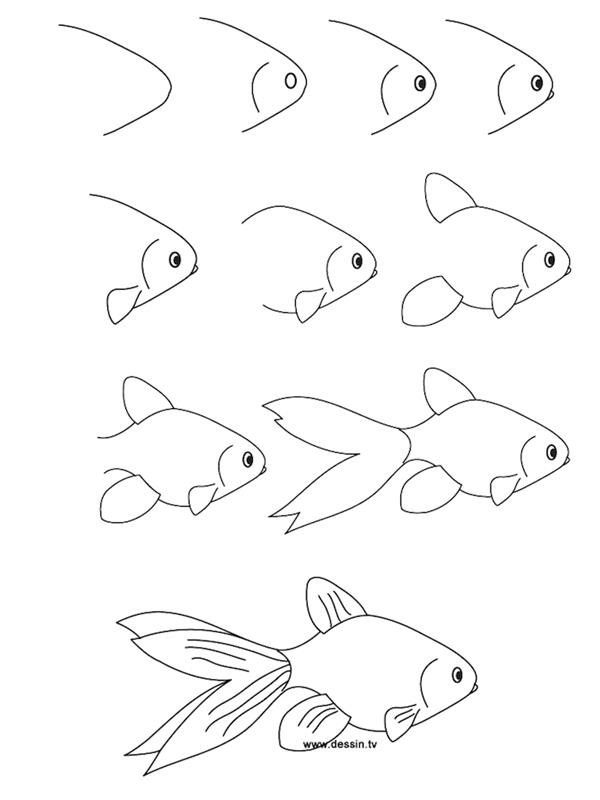 Gel, disegnare un pesce, schizzo a matita, öğretici disegno pesciolino