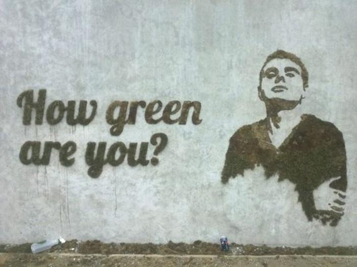 slogan z napisom-na-steni-grafiti-v-ekološki-peni