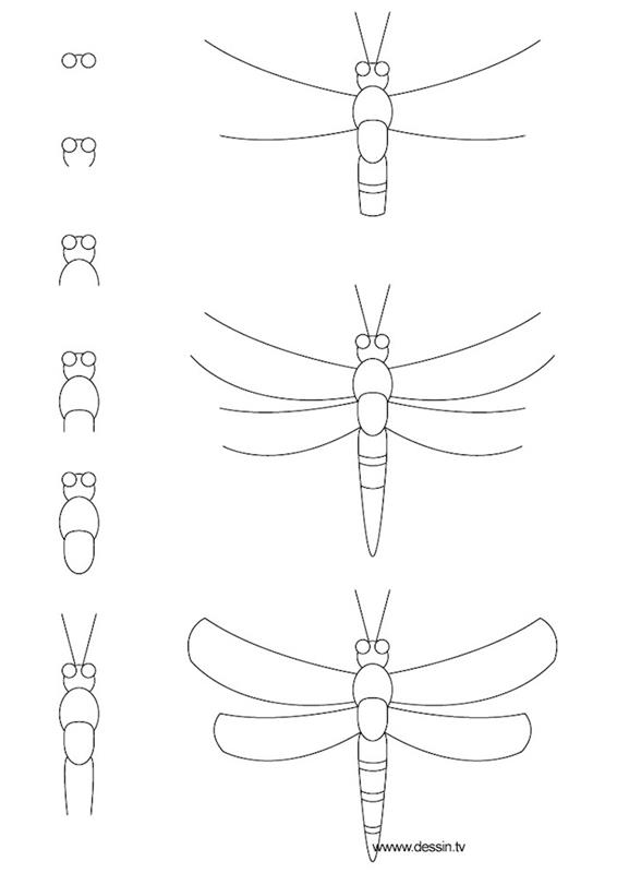 Disegno di un insetto, disegno a matita, öğretici disegno con matita