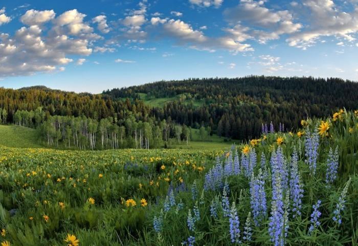 -lepa-fotografija-lepša-podoba-narave-sveta