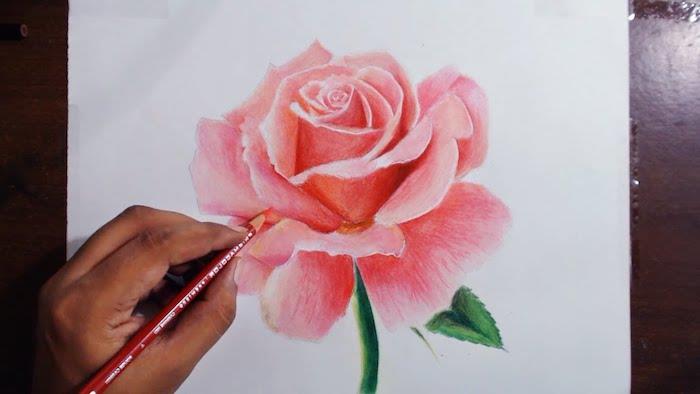 Risba vrtnice v rožnati barvi z učinkom cvetnih listov 3d, risba rožnatega cvetja v barvi cvetoče pokrajine