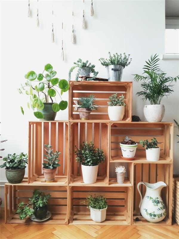gyvenamojo kambario sienų su padėklu pavyzdys, patalpų augalų su perdirbtais padėklais laikymo idėja