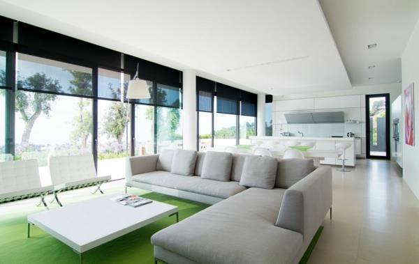 notranjost-sodobne-hiše-s-kavčem-in-zeleno preprogo