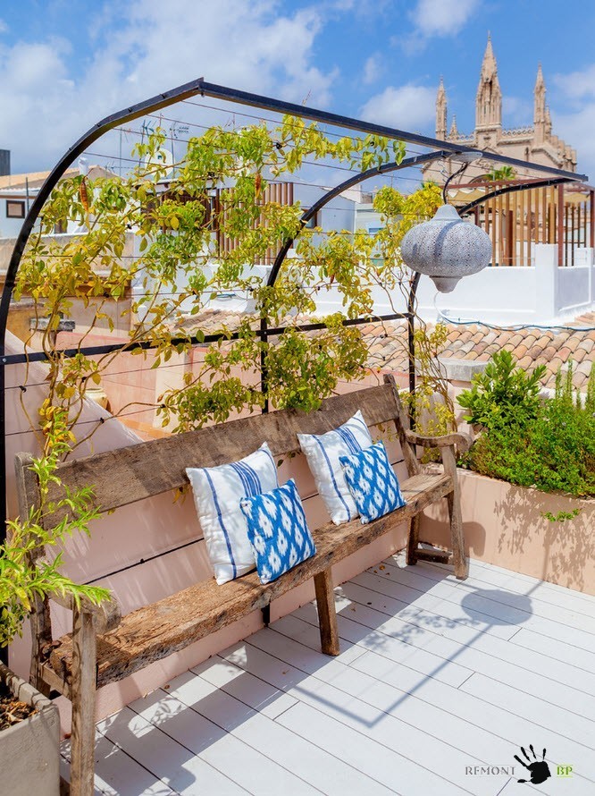 Planta trepadora en lugar de dosel.