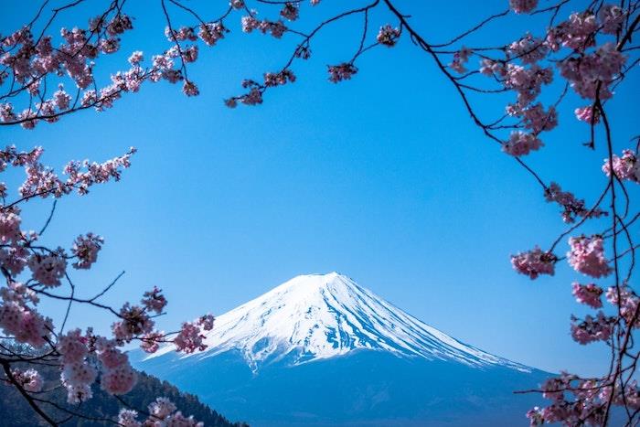 Spomladansko ozadje, pomladna pokrajina, lepa cvetlična podoba, gora Fuji in cvetoča drevesa, japonska češnja