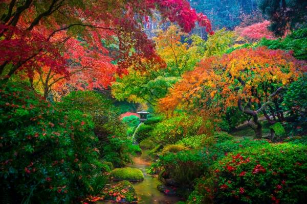 Japonų sodas-Portlandas-Oregonas