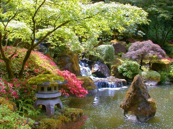 Japoniškas sodas su baseinu