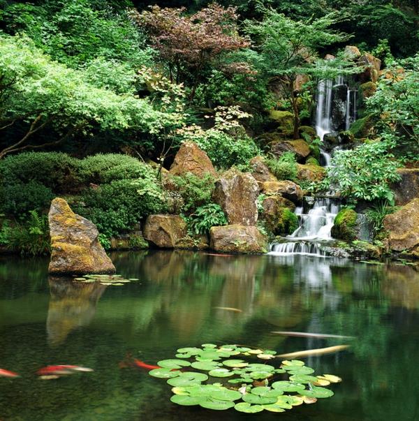 japoniškas sodas su kriokliu
