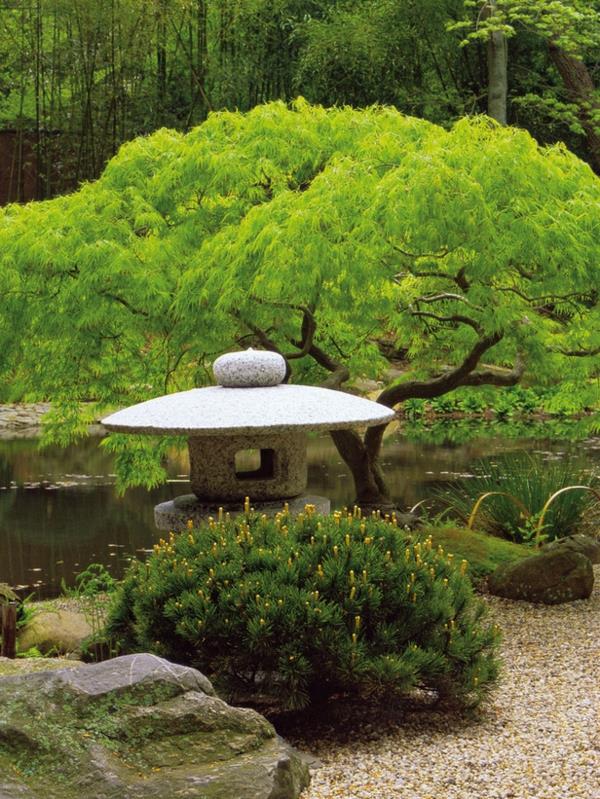 Japoniški sodai ir stebuklingi medžiai