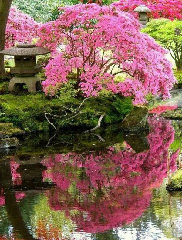 Vrt japonskih vrtnic-