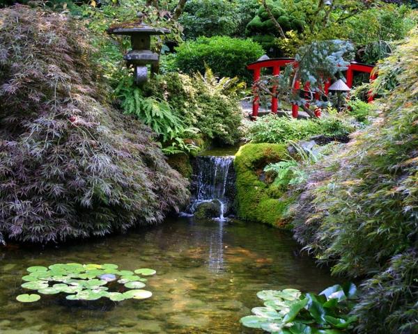 Japoniškas sodas-ramybė ir krioklys
