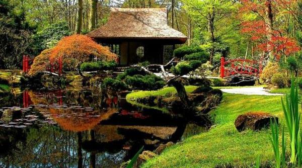 gražus japoniškas sodas