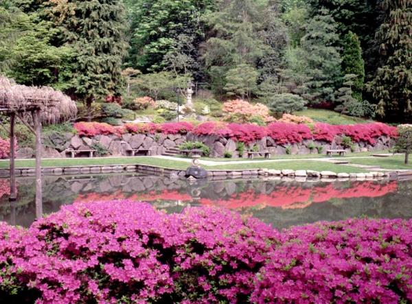Japoniškas sodas-labai gražus