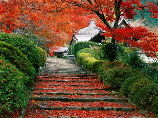 Japoniškas sodas-laiptai Kiote
