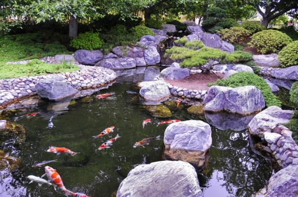japoniškas sodas-ežeras-su dekoratyvine žuvimi