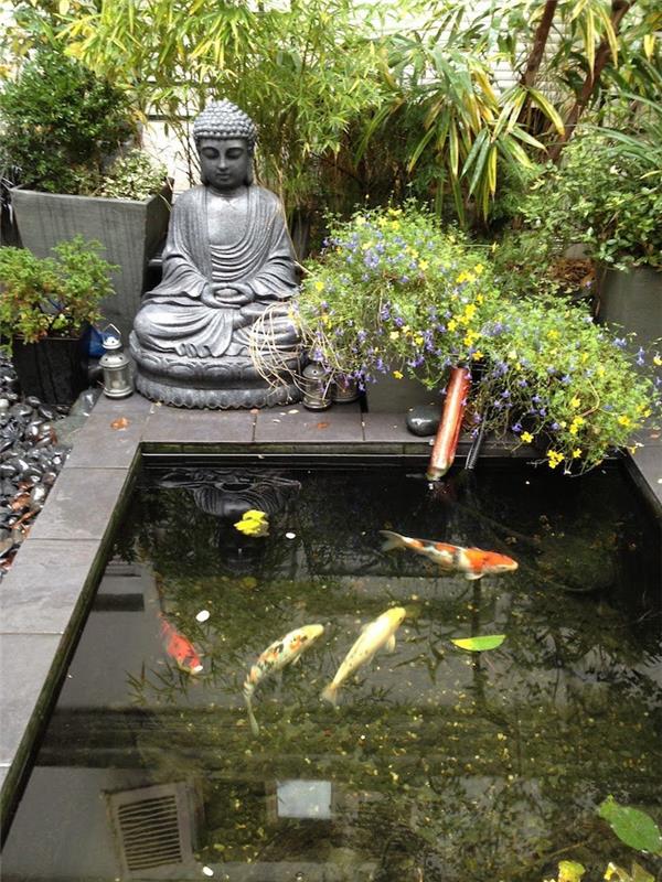 Japoniškas zen-sodas-koi-karpių tvenkinys