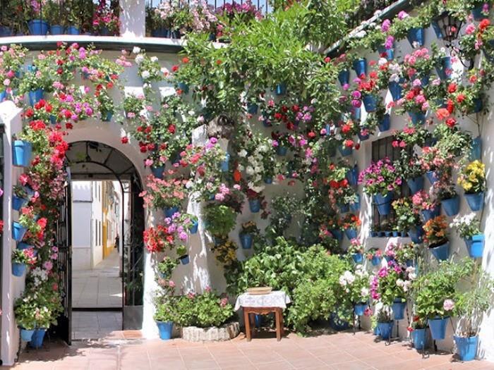 Viduržemio jūros sodas-Ispanija-Andalūzija-idėja-deko-dizainas-dekoracijos-gėlės