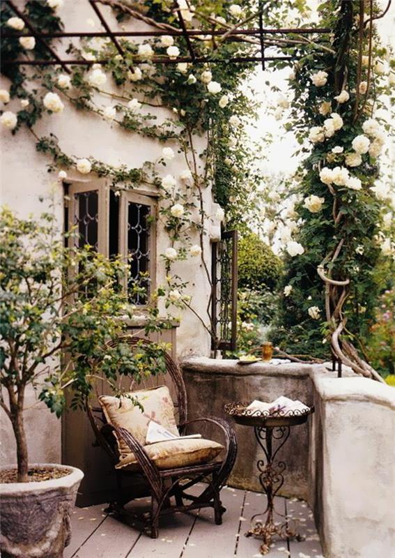 Sodo terasa rožės stilingi tapetai, zen tapetai vaizduoja pasaulio kėdės grožį