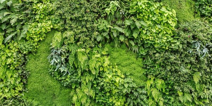 vertikalus sodas su keliais žalios spalvos atspalviais, geometriniais raštais, lauko žalia siena, žalia siena, žalia pertvara