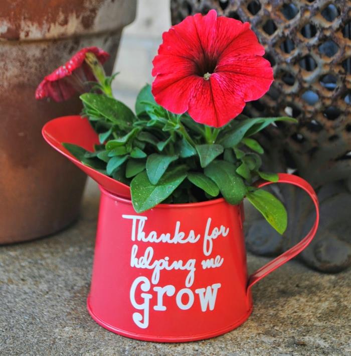 izviren vrtni pripomoček z gravuro, rdeča zalivalka s prilagojenim dizajnom s sladkimi besedami za svojo babico