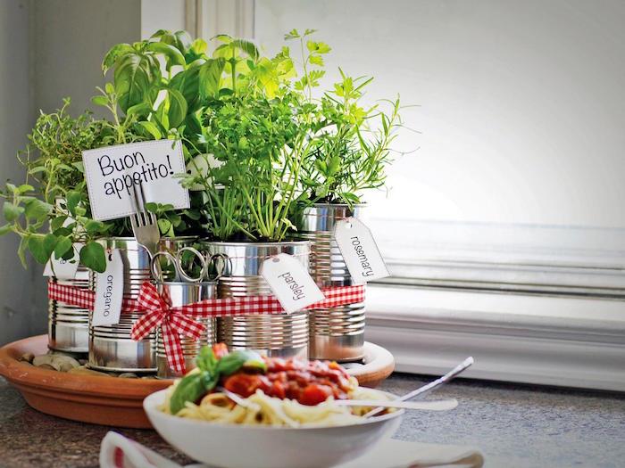 Notranji namizni sadilnik za domače aromatične rastline