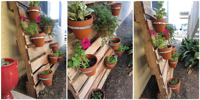 idėja, kaip pasidaryti padėklų sodintuvą, šiltnamio vamzdžius, pritvirtintus prie sienos mediniame padėkle, lentas, sodinti gėles, petunijas