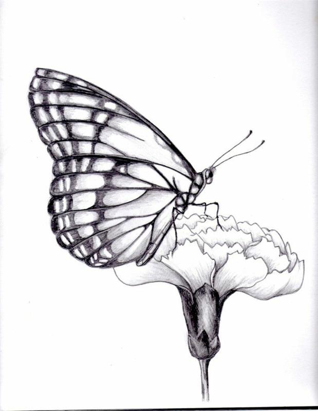 Gėlių drugelio piešinys, lengviausias piešinys pradedantiesiems drugelis ant gėlės
