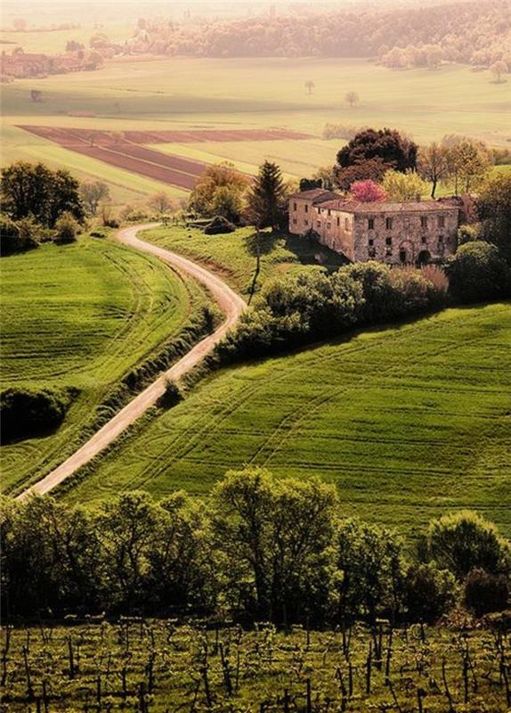 lepa-pokrajina-Toskane-bivanje-v-Toskani-zelena-polja-Toskane