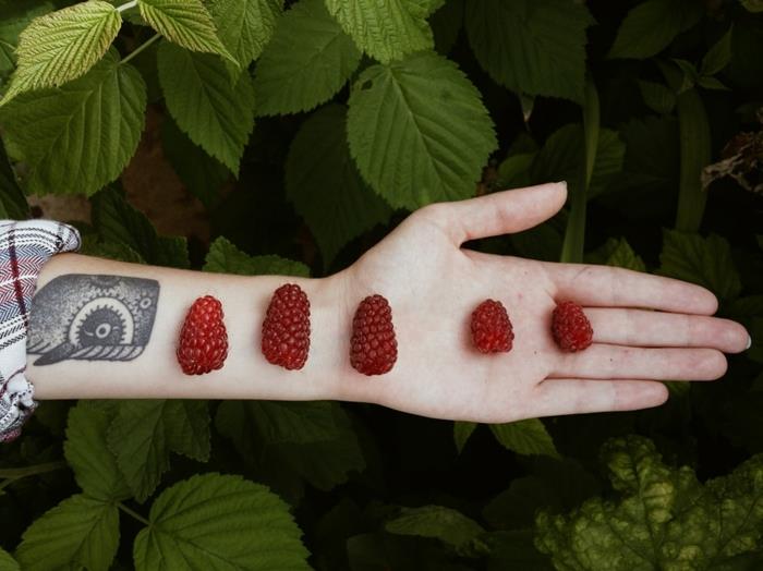Graži vikingų tatuiruotė ant rankos aviečių vyro kario tatuiruotė