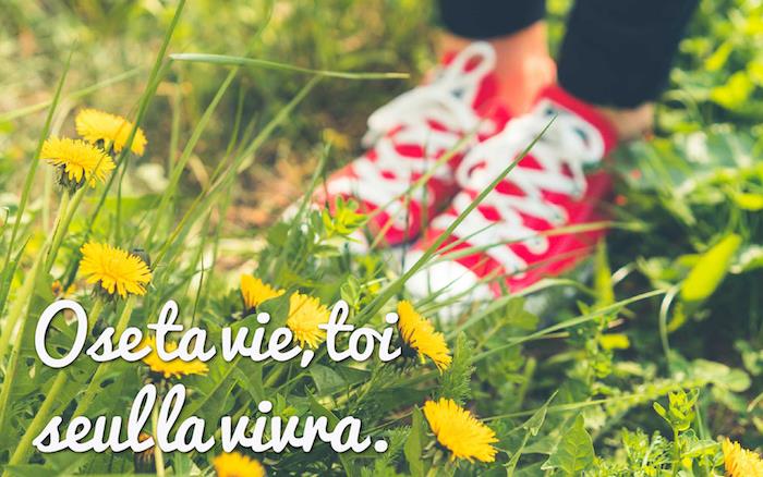 Hayat hakkında güzel bir ifade, çimenli ve sarı çiçekli doğa fotoğrafı, beyaz bağcıklı kırmızı kanvas spor ayakkabılar