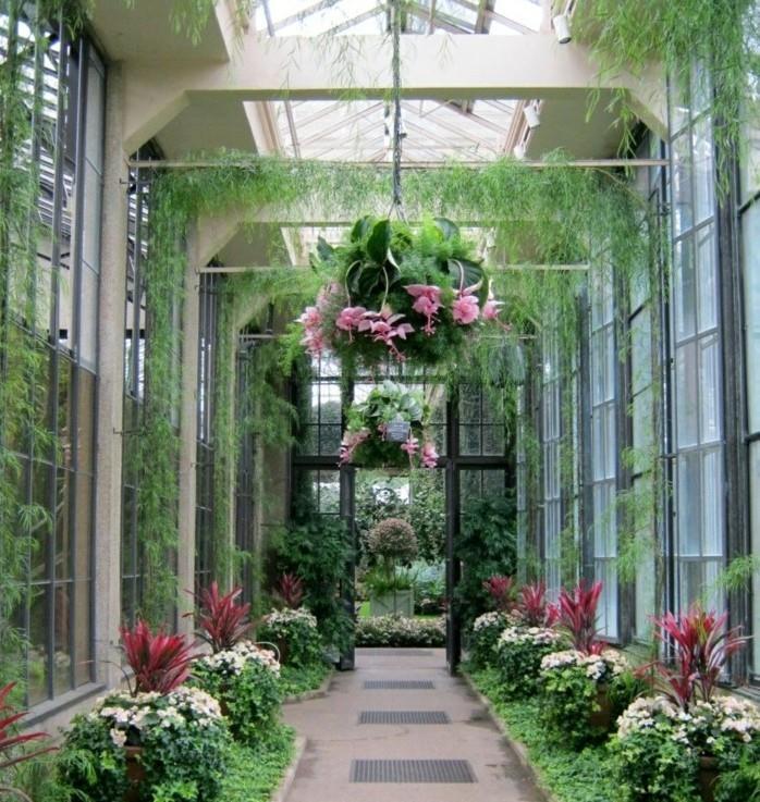 gražus pasiūlymas-šiuolaikinė-veranda-apželdintas-sodas-su augalais ir gėlėmis