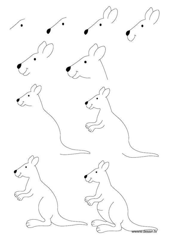 črno -bela skica, stvari za sledenje, kako narisati kenguruja, korak za korakom, vadnica sam