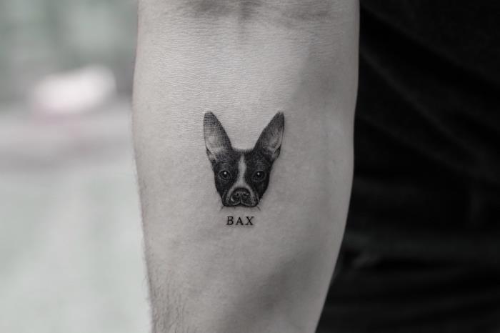 pasja glava, ime bax, ideje za postavitev tetovaže, tetovaža podlakti, črna srajca