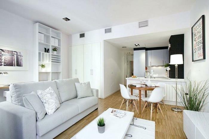 modern daire düzeni, gri kanepe, uzun oturma odası masası, ahşap zemin, beyaz raf, stüdyo için mini mutfak
