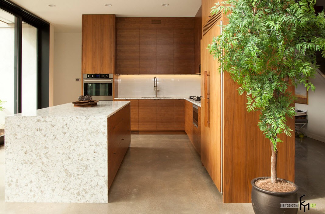 Virtuvė su dekoratyviniu augalu