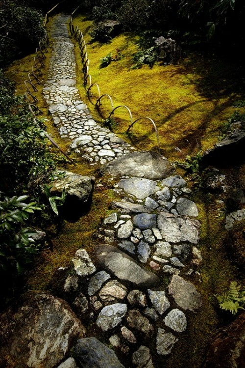 Caminho de pedra