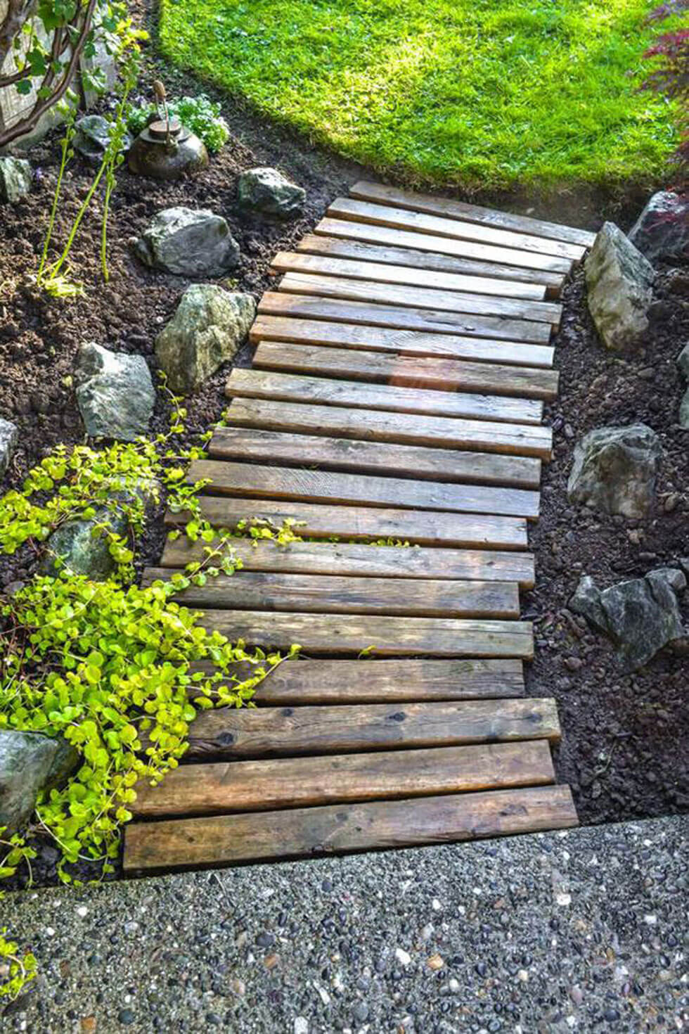 Caminhos de madeira