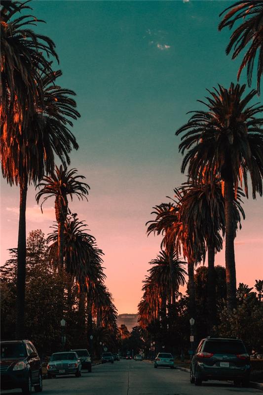 Los Angeles visoke dlani ob sončnem zahodu najboljši čas za fotografiranje, mestno pokrajino, pokrajinsko ozadje, čiste linije in hladne barve