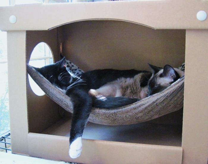 katė-medis-hamakas-katė-lova-pigus-hamakas-katė-medis-katė-daiktai-dėžutėje
