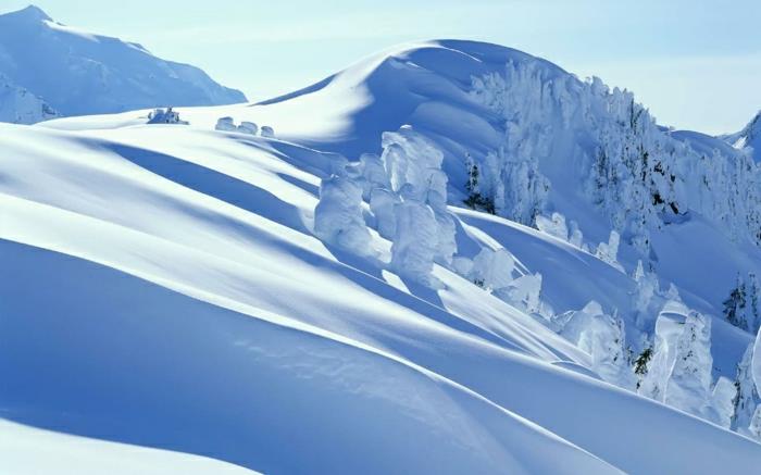 kar yağışı-alpes-kar yağışı-les-2-alpes-baykuş-foto-beyazlık