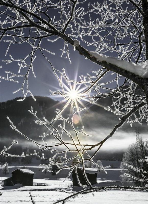-görüntü-kar-kar-manzaraları-kış-fotoğraf-ağaçlar
