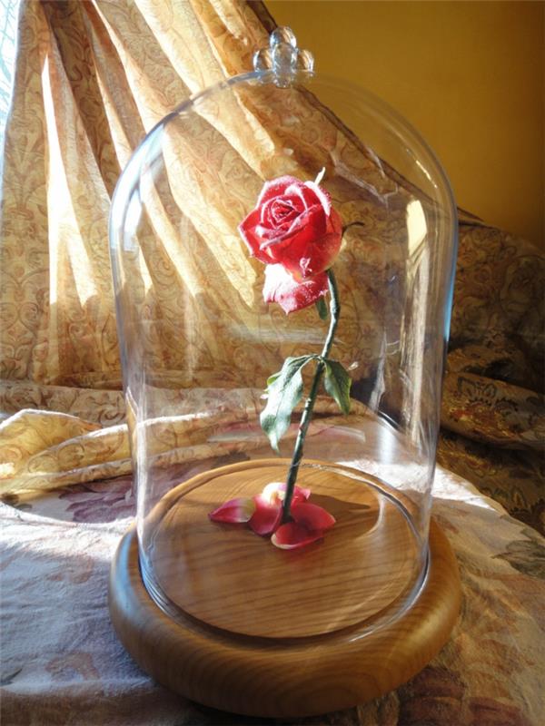 lepota-in-zver-risanka-disney-dekoracija-ideje-notranjost-vrtnica-v-steklu