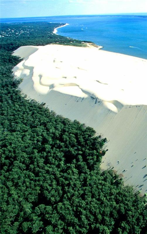duna-du-pilat-pečina-na-gozdni strani