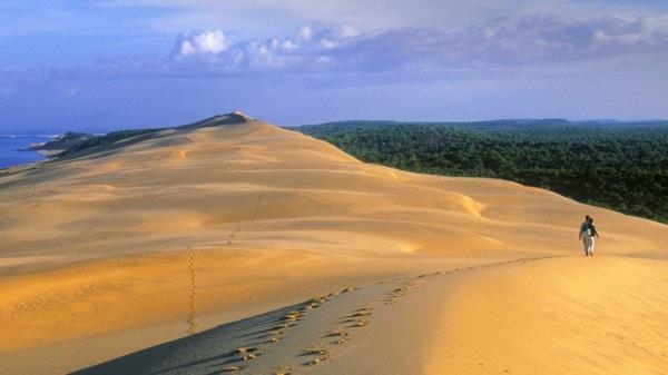 la-dune-du-pilat-a-desert-in-France