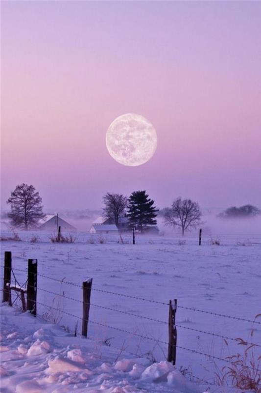pilnatis, gražus žiemos peizažas, mėnulis virš snieguotos lygumos