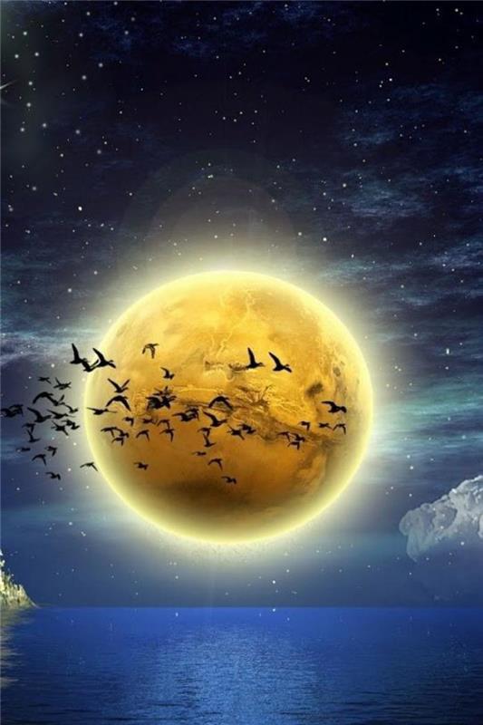 pilnas mėnulis-paukščių migracija-po pilnatimi